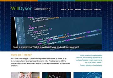 will-dyson-consulting-360x250